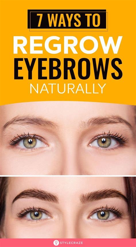 can you regrow eyebrows.